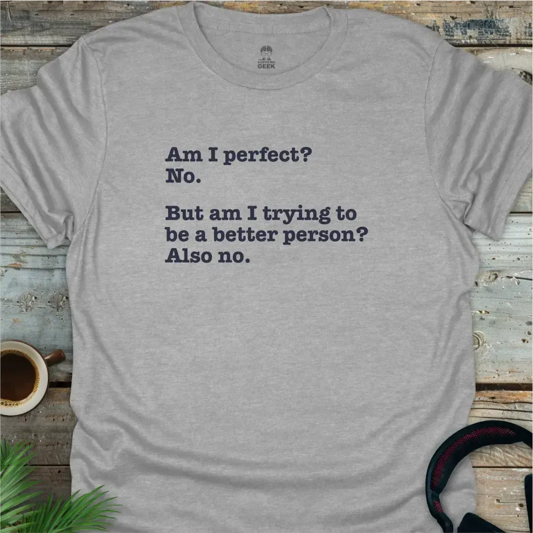 Am I Perfect? - Geek T-Shirt - Sport Grey