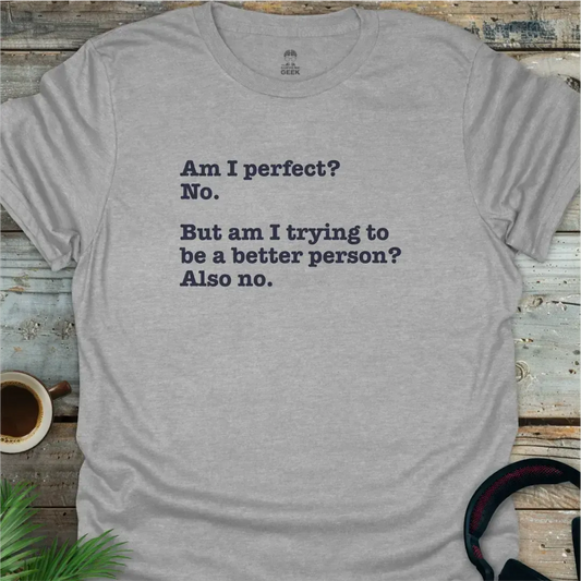 Am I Perfect? - Geek T-Shirt - Sport Grey